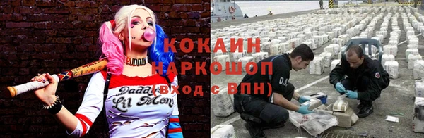 apvp Аркадак