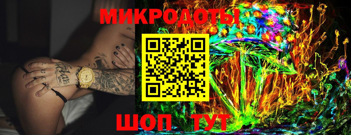 Галлюциногенные грибы Psilocybe Пушкино
