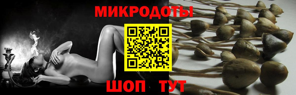 Галлюциногенные грибы Psilocybine cubensis  Галлюциногенные грибы мицелий  купить  цена  Вход с VPN  Пушкино 